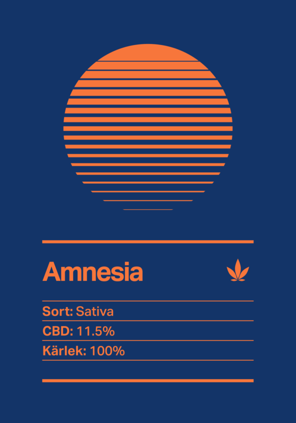 Amnesia CBD